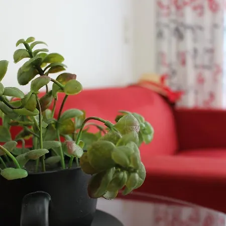 Filmar Hotel, Ixia, Rhodes Ξενοδοχείο 3*